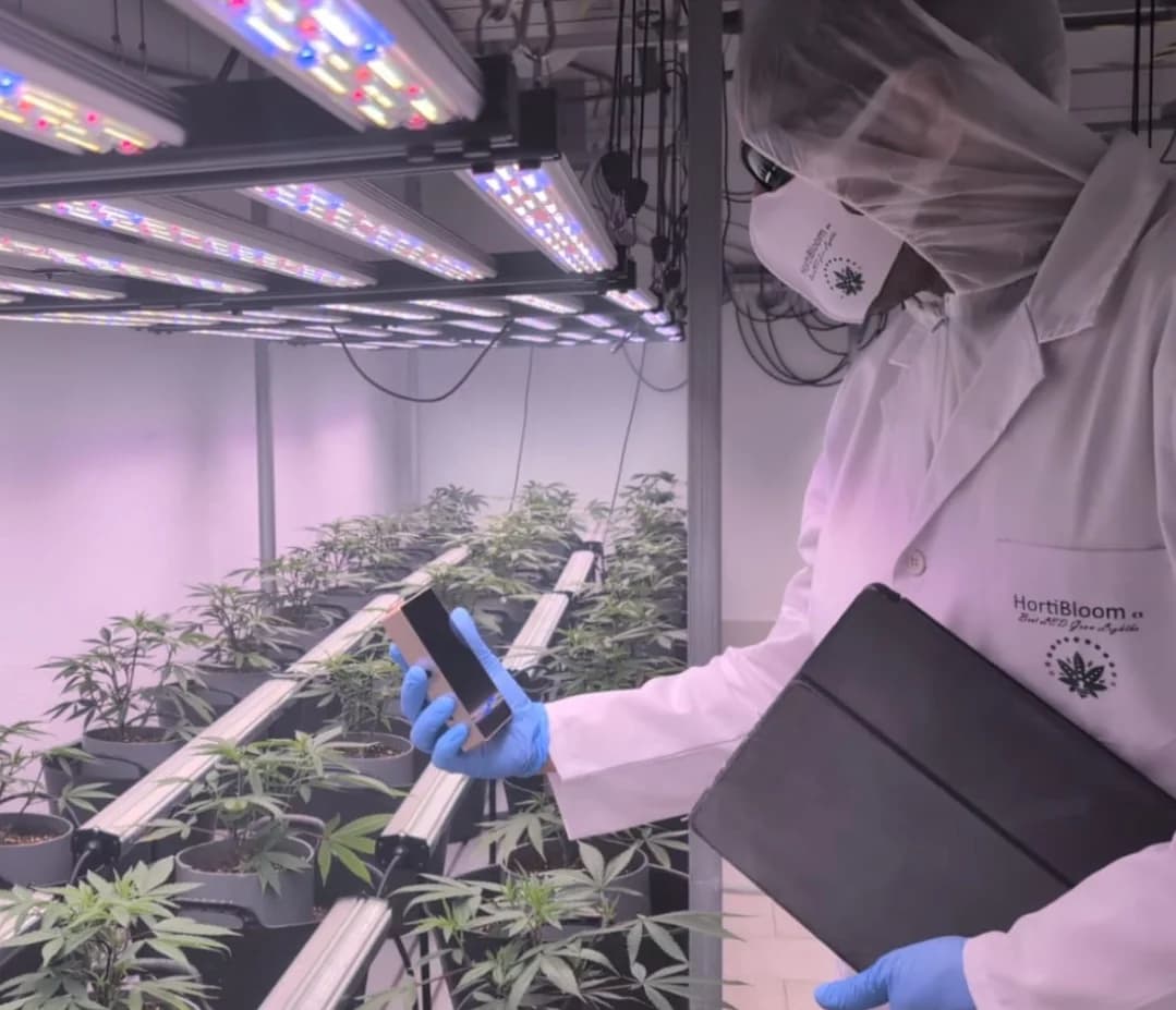 Equipo técnico HortiBloom en sala de cultivo