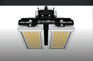 Solux 650W