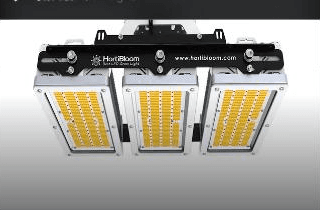 Solux 800W