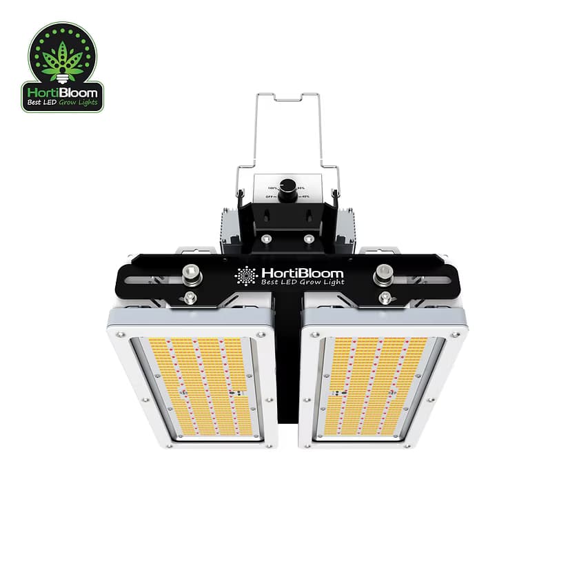 Solux 650W