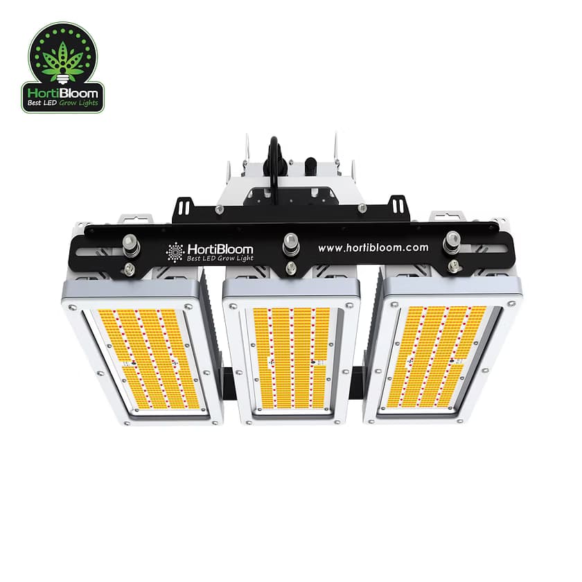 Solux 800W