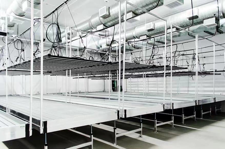 Industrial grow facility with irrigation tables and HortiBloom LED bars