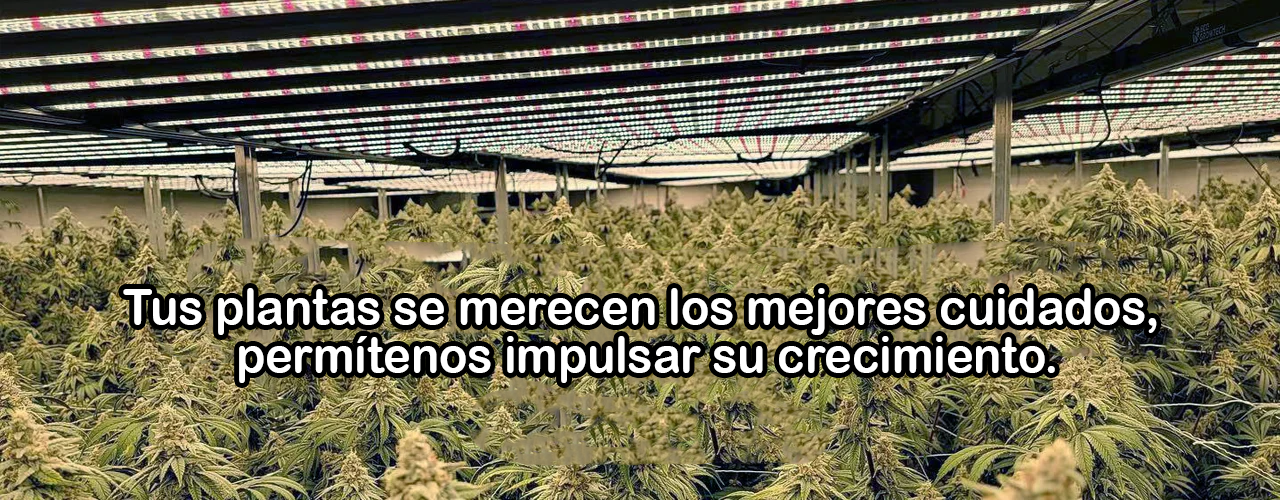 Luces de cultivo LED con tecnología avanzada