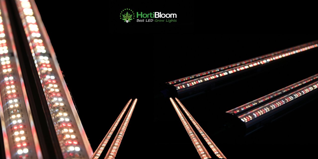 UnderCanopy SUBFLUX 120W - Vista frontal