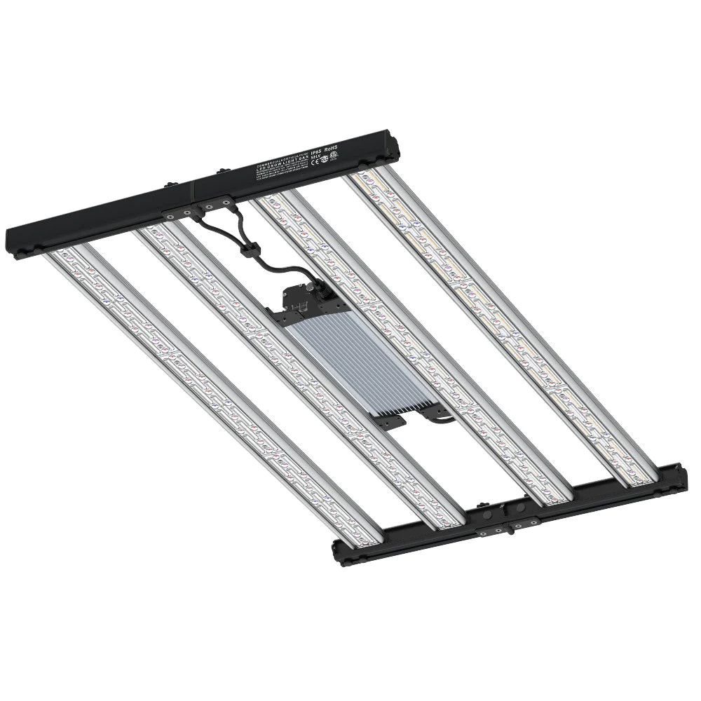 Mega Optic 350W - En funcionamiento